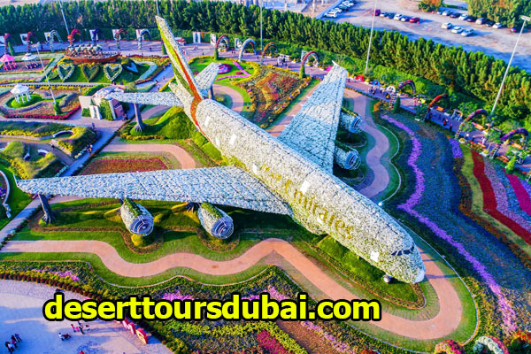 Fakta Menarik Tentang Dubai Miracle Garden