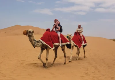 Evening Desert Safari Dubai with 20 Min Camel Ride Premium Camp