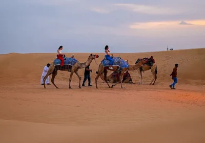 Evening Desert Safari Dubai with 20 Min Camel Ride Standard Camp