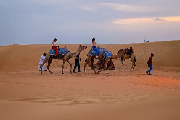 Evening Desert Safari Dubai with 20 Min Camel Ride Standard Camp