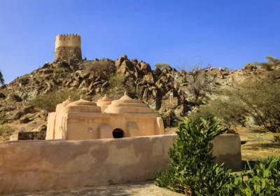 Fujairah East Coast Tour from Dubai with Beach Stops