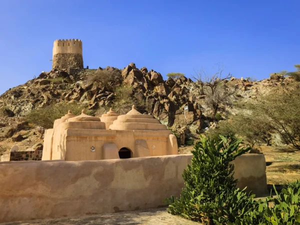 Fujairah East Coast Tour from Dubai with Beach Stops